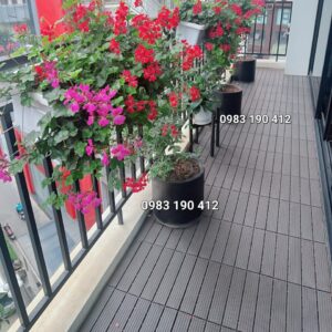 Tam-nhua-lot-san-ban-cong (3)